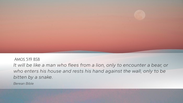 Amos 5:19 BSB Bible Verse Image