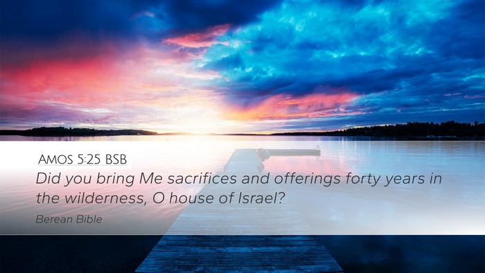 Amos 5:25 BSB Bible Verse Image