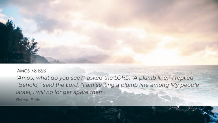 Amos 7:8 BSB Bible Verse Image