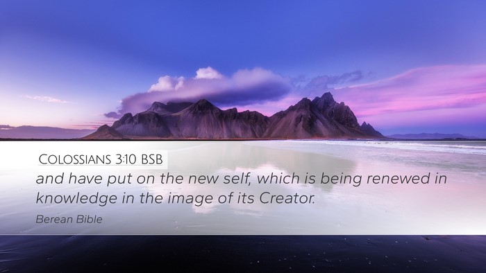 Colossians 3:10 BSB Bible Verse Image