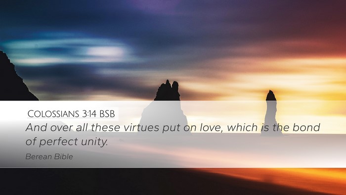 Colossians 3:14 BSB Bible Verse Image