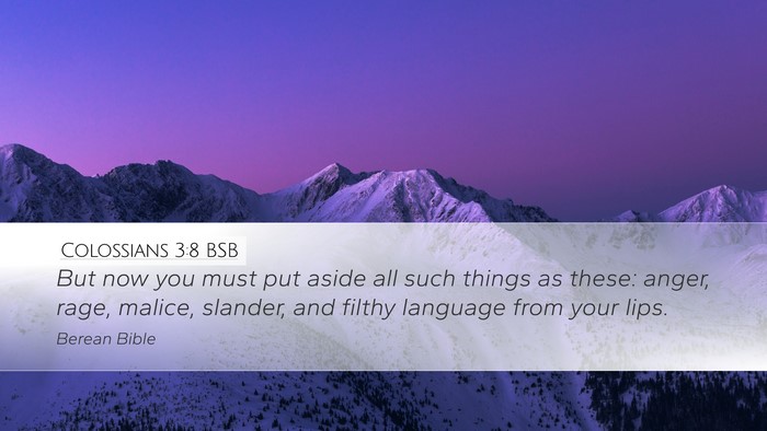 Colossians 3:8 BSB Bible Verse Image