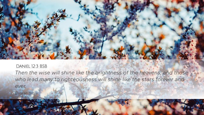 Daniel 12:3 BSB Bible Verse Image