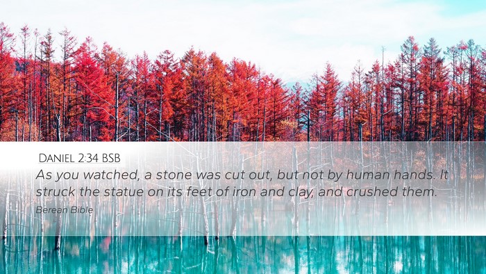 Daniel 2:34 BSB Bible Verse Image