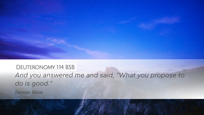 Deuteronomy 1:14 BSB Desktop Wallpaper - And you answered me and said, “What you propose - Desktop Bible Verse Wallpaper