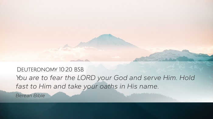Deuteronomy 10:20 BSB Bible Verse Image