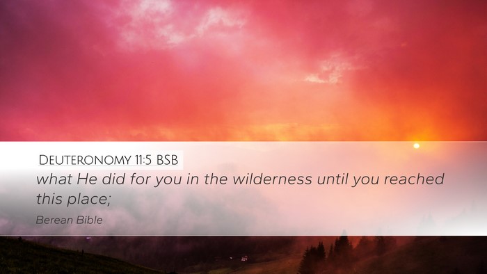 Deuteronomy 11:5 BSB Desktop Wallpaper - what He did for you in the wilderness until you - Desktop Bible Verse Wallpaper