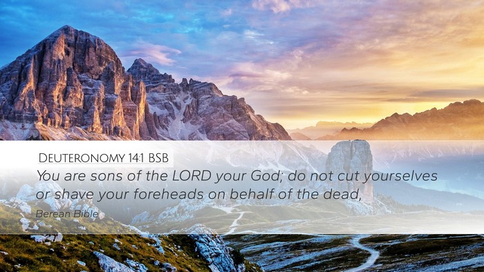 Deuteronomy 14:1 BSB Bible Verse Image