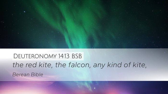 Deuteronomy 14:13 BSB Desktop Wallpaper - the red kite, the falcon, any kind of - Desktop Bible Verse Wallpaper