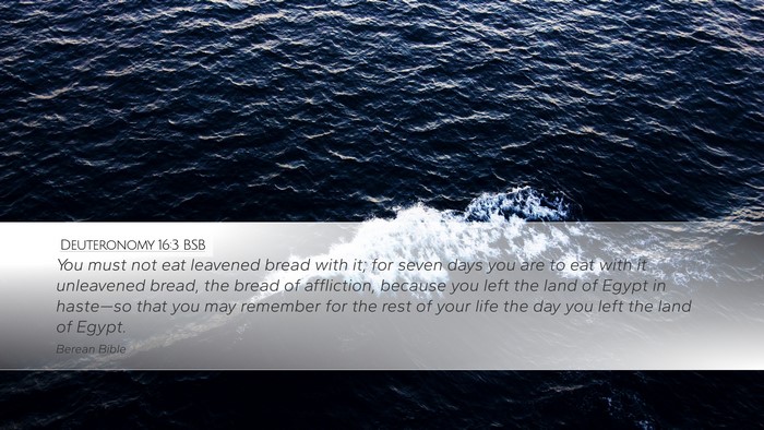 Deuteronomy 16:3 BSB Bible Verse Image
