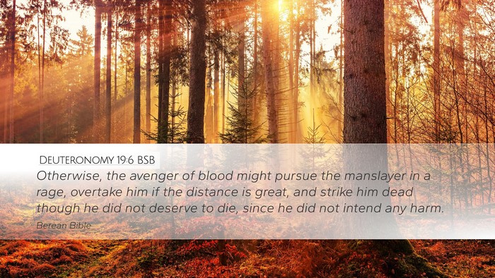 Deuteronomy 19:6 BSB Bible Verse Image