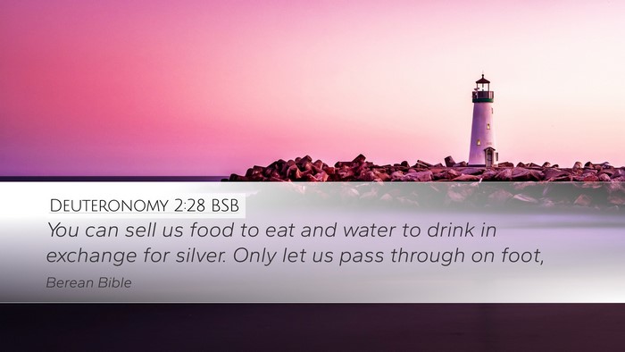 Deuteronomy 2:28 BSB Bible Verse Image
