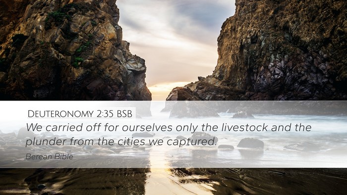 Deuteronomy 2:35 BSB Desktop Wallpaper - We carried off for ourselves only the livestock - Desktop Bible Verse Wallpaper