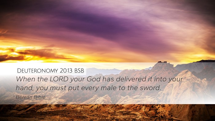 Deuteronomy 20:13 BSB Bible Verse Image