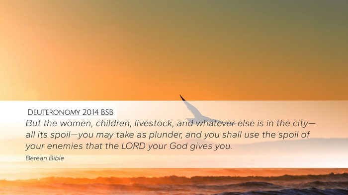 Deuteronomy 20:14 BSB Bible Verse Image
