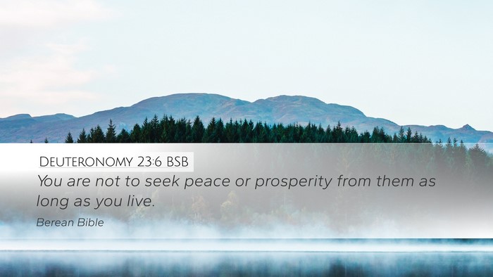 Deuteronomy 23:6 BSB Desktop Wallpaper - You are not to seek peace or prosperity from them - Desktop Bible Verse Wallpaper
