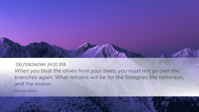 Deuteronomy 24:20 BSB Desktop Wallpaper - When you beat the olives from your trees, you - Desktop Bible Verse Wallpaper