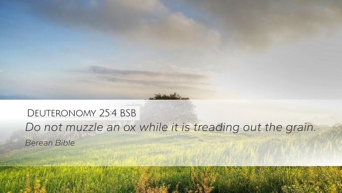 Deuteronomy 25:4 BSB Bible Verse Image