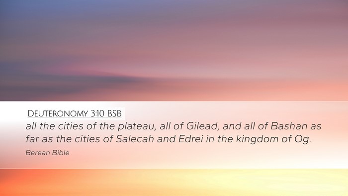 Deuteronomy 3:10 BSB Bible Verse Image