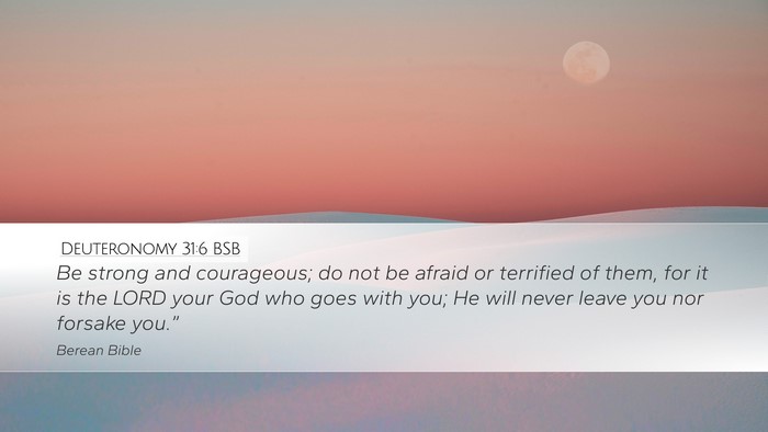 Deuteronomy 31:6 BSB Bible Verse Image