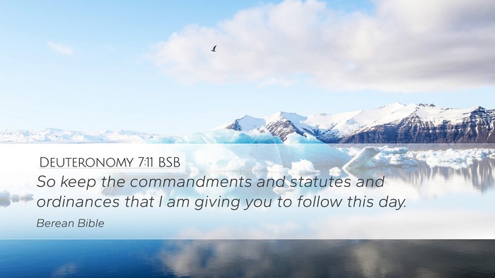 Deuteronomy 7:11 BSB Bible Verse Image