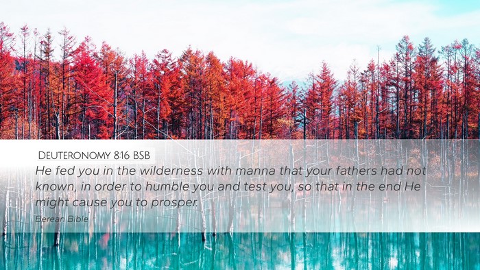 Deuteronomy 8:16 BSB Bible Verse Image