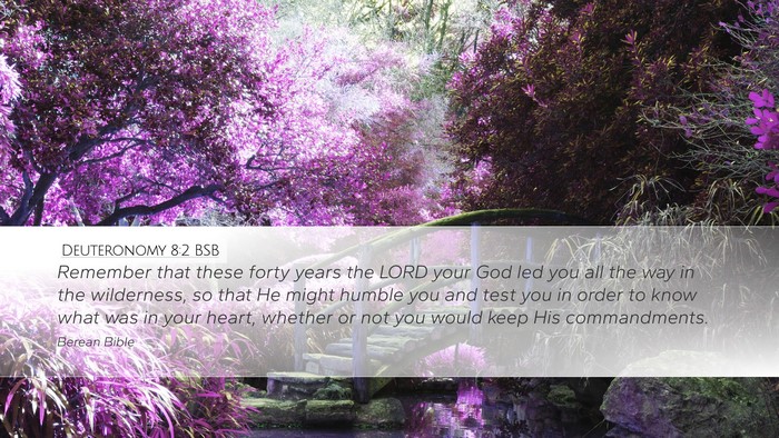 Deuteronomy 8:2 BSB Bible Verse Image