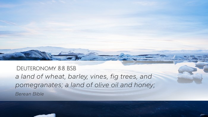Deuteronomy 8:8 BSB Bible Verse Image