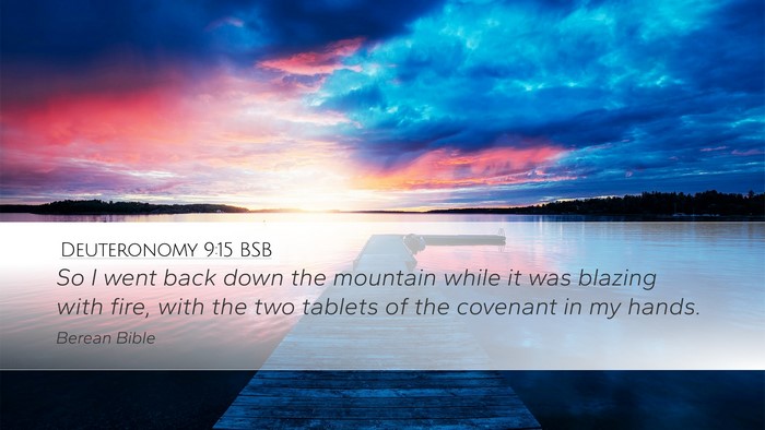 Deuteronomy 9:15 BSB Desktop Wallpaper - So I went back down the mountain while it was - Desktop Bible Verse Wallpaper