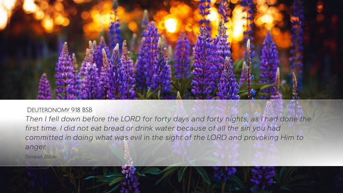 Deuteronomy 9:18 BSB Bible Verse Image
