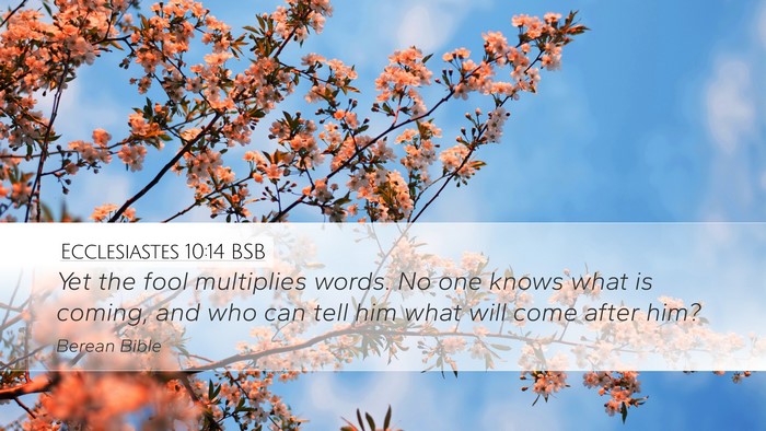 Ecclesiastes 10:14 BSB Bible Verse Image