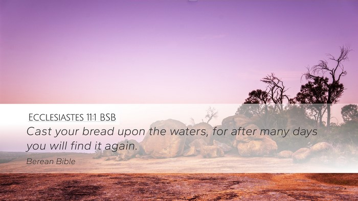 Ecclesiastes 11:1 BSB Bible Verse Image