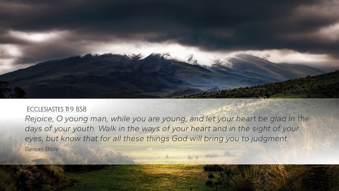 Ecclesiastes 11:9 BSB Bible Verse Image
