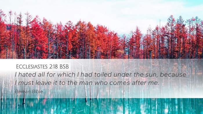 Ecclesiastes 2:18 BSB Bible Verse Image