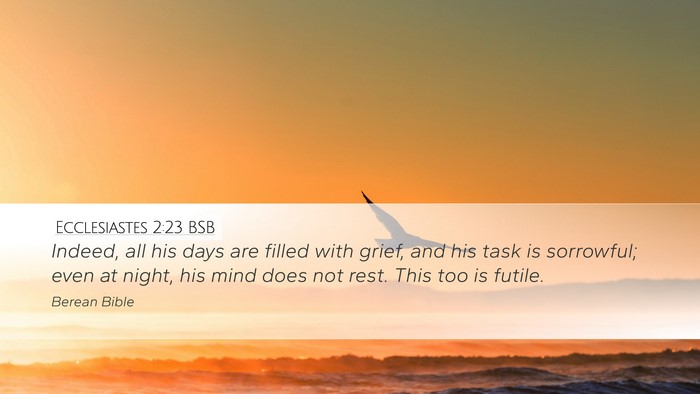 Ecclesiastes 2:23 BSB Bible Verse Image