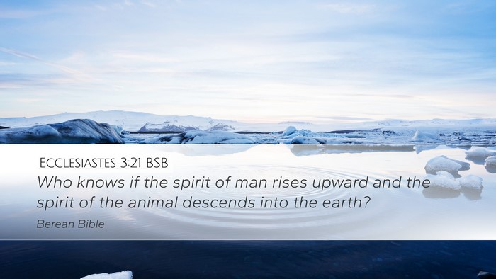 Ecclesiastes 3:21 BSB Bible Verse Image