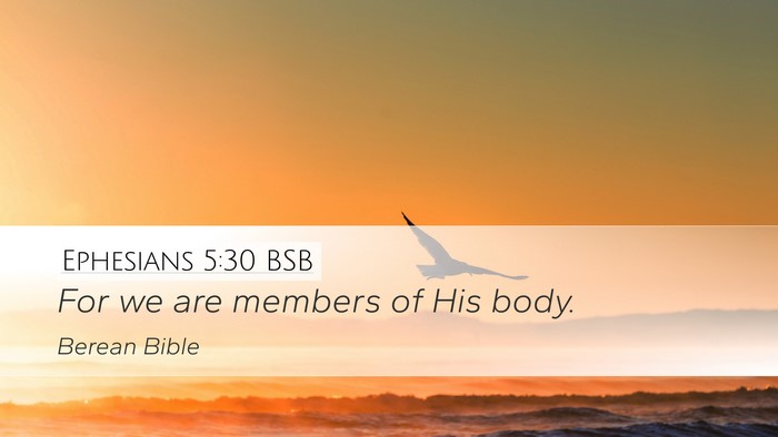 Ephesians 5:30 BSB Bible Verse Image