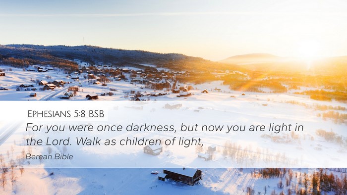Ephesians 5:8 BSB Bible Verse Image