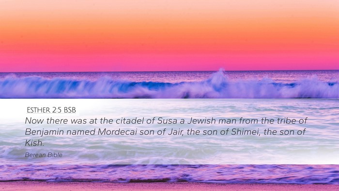 Esther 2:5 BSB Desktop Wallpaper - Now there was at the citadel of Susa a Jewish man - Desktop Bible Verse Wallpaper