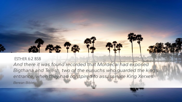 Esther 6:2 BSB Desktop Wallpaper - And there it was found recorded that Mordecai had - Desktop Bible Verse Wallpaper