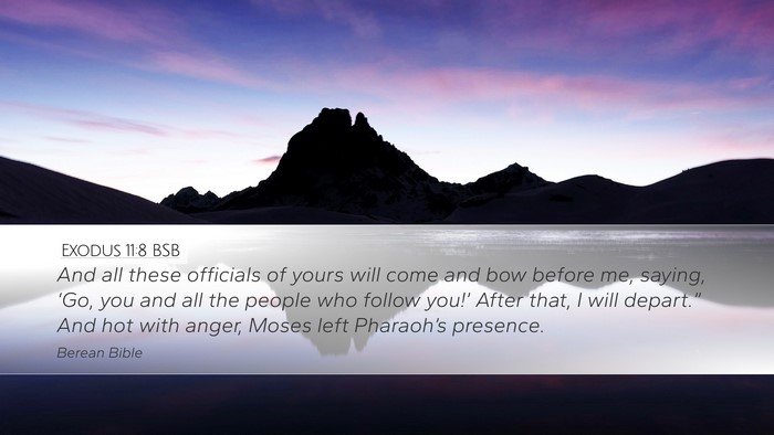 Exodus 11:8 BSB Bible Verse Image