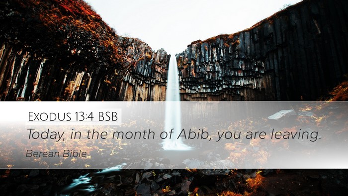 Exodus 13:4 BSB Bible Verse Image