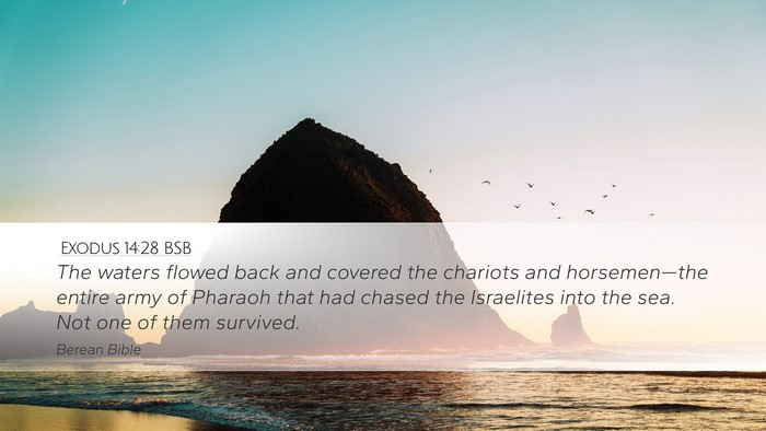 Exodus 14:28 BSB Bible Verse Image