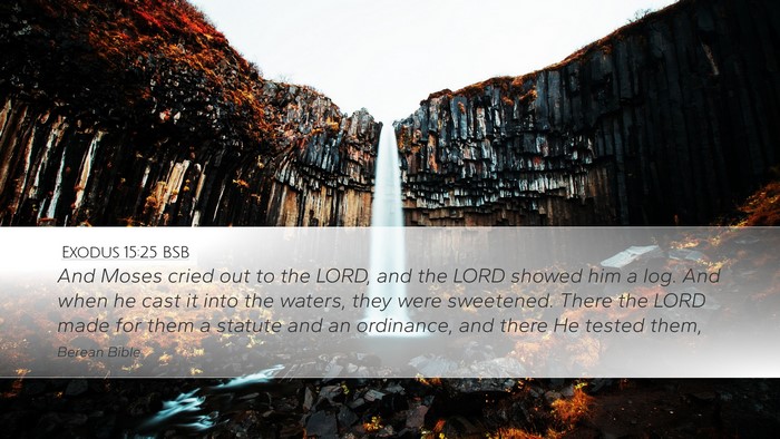 Exodus 15:25 BSB Bible Verse Image