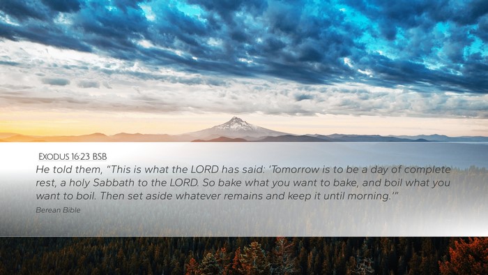 Exodus 16:23 BSB Bible Verse Image