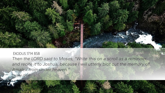 Exodus 17:14 BSB Bible Verse Image