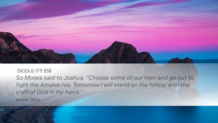 Exodus 17:9 BSB Bible Verse Image