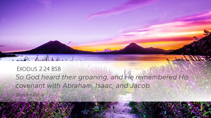 Exodus 2:24 BSB Bible Verse Image