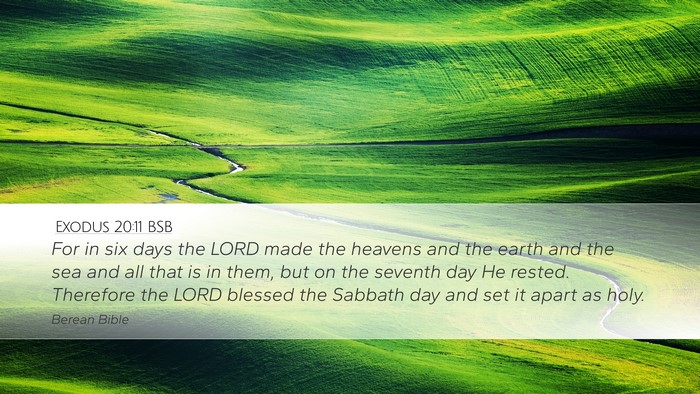 Exodus 20:11 BSB Bible Verse Image