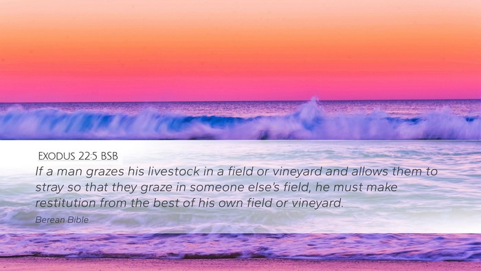 Exodus 22:5 BSB Desktop Wallpaper - If a man grazes his livestock in a field or - Desktop Bible Verse Wallpaper
